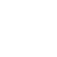 Global Engagement