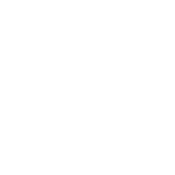 Service